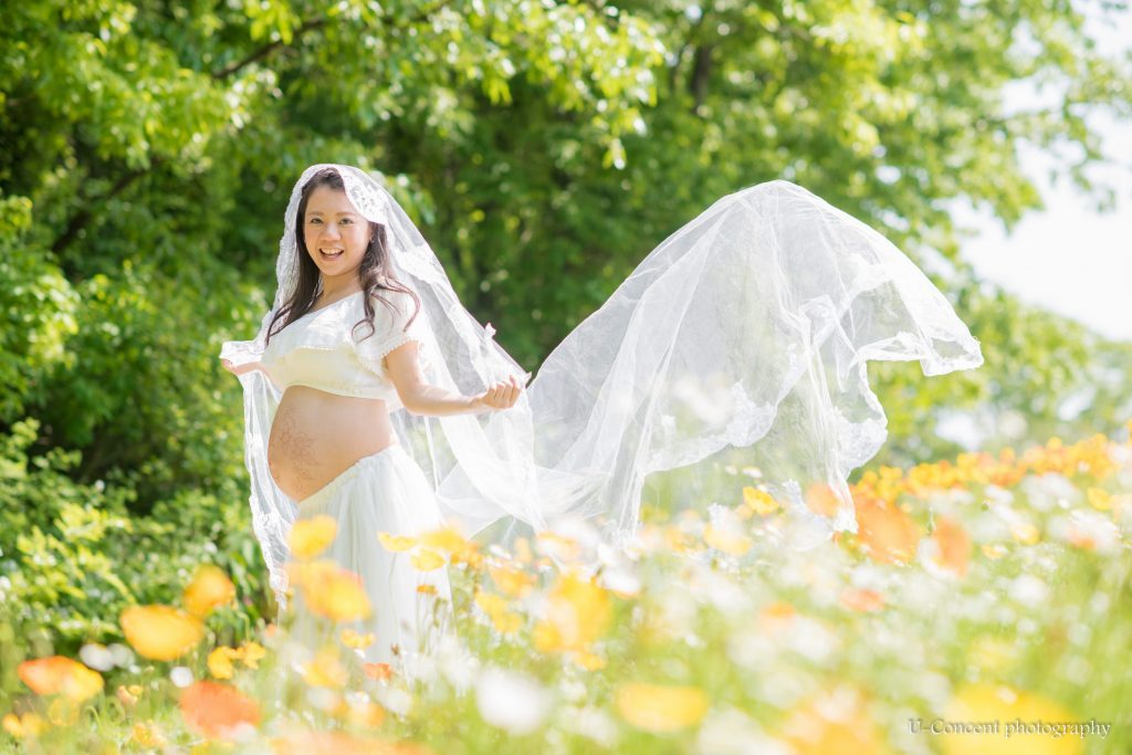 UCP4679-1024x683