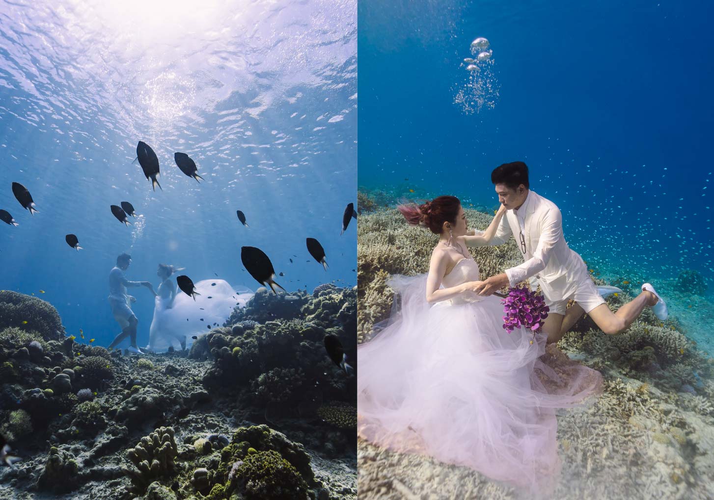 SIRENA WEDDING