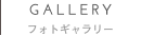 フォトギャラリー