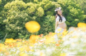 UCP4441-1024x683